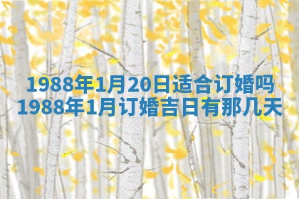 八字五行与黎姓：2026年03月11日出生男宝宝的理想名字分析
