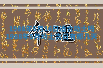 八字五行与黎姓：2026年03月11日出生男宝宝的理想名字分析