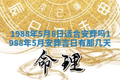 农历2025年五月廿二黄历商业启动适合吗,这天开业合适吗