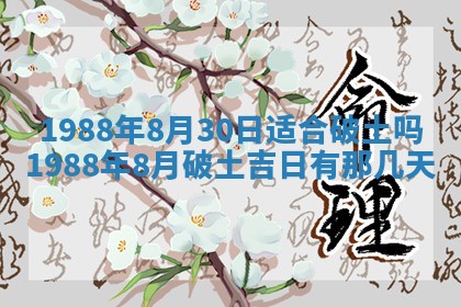 八字五行与黎姓：2026年03月11日出生男宝宝的理想名字分析