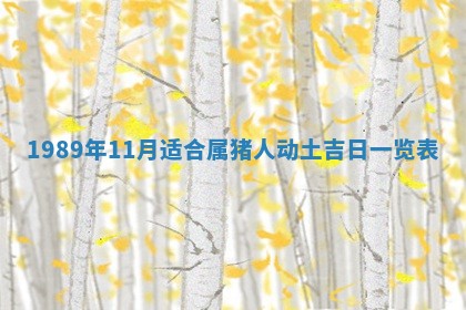 今天2025年6月27日适不适合办证,领证黄历吉日分析