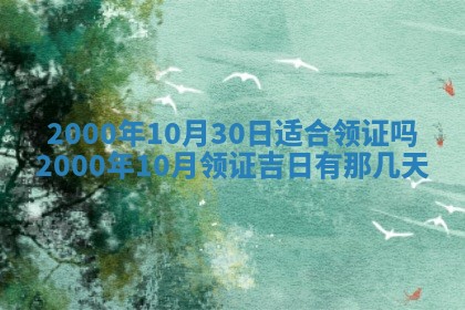今天农历2025年六月十三黄历嫁娶适宜吗,嫁娶吉日