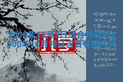 八字五行与傅姓：2026年01月27日出生女宝宝的理想名字分析