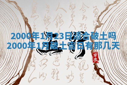 邹姓宝宝起名禁忌与技巧：2026年03月15日出生男孩子最佳名字
