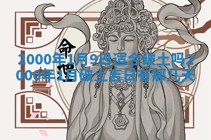 2026年02月14日生辰八字起名：程姓男孩子取什么名字最合适