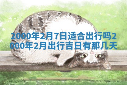 今天农历2025年六月十三黄历嫁娶适宜吗,嫁娶吉日