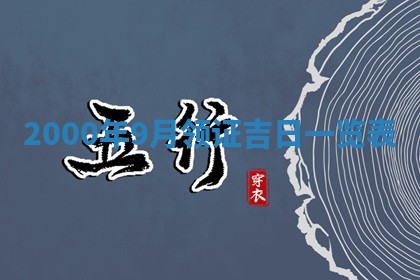2026年03月08日出生的张姓女孩子取名指南：吉祥好听的名字推荐