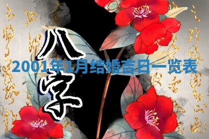 陆姓女孩子名字推荐：2026年02月26日出生宝宝的吉祥起名