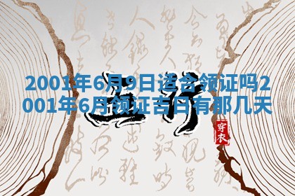 2025年11月30日求财打麻将在哪里