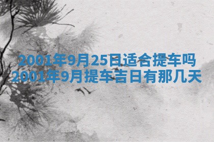 今天是否适宜安装大门,安门2025年6月13日黄历分析