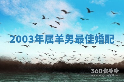 2025年10月03日打牌打麻将方向