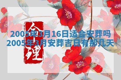 如何给2026年03月15日出生的赵姓女宝宝起个好名字？专业分析与建议
