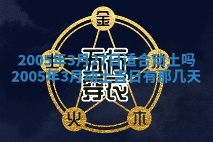 如何给2026年03月15日出生的赵姓女宝宝起个好名字？专业分析与建议