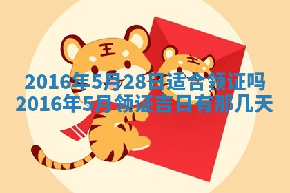 郑姓男宝宝名字精选：2026年03月10日生辰八字起名技巧