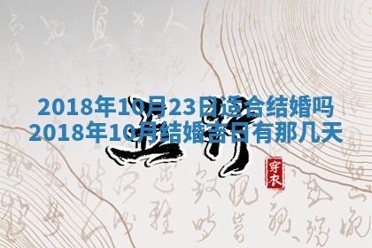 2025年10月25日求财打麻将方向