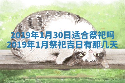 2025年10月24日打麻将财神吉位专业分析