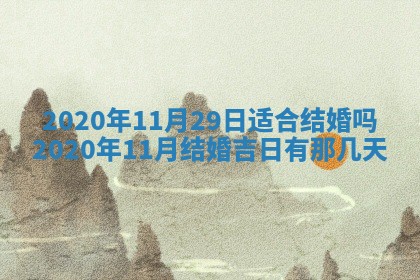 2026年02月25日农历二〇二六年正月初九出生的袁姓男宝宝取名全攻略