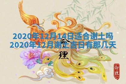 2026年02月25日农历二〇二六年正月初九出生的袁姓男宝宝取名全攻略