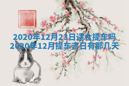 2026年02月25日农历二〇二六年正月初九出生的袁姓男宝宝取名全攻略