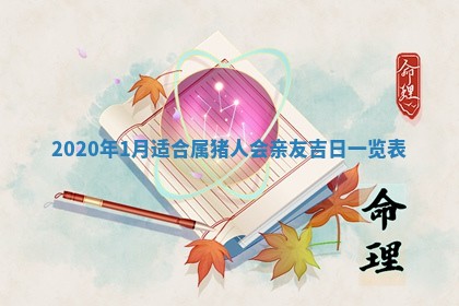 2026年02月25日农历二〇二六年正月初九出生的袁姓男宝宝取名全攻略