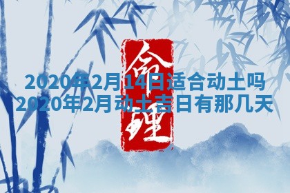 陈姓2026年02月20日出生男宝宝的五行取名详解