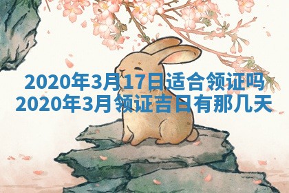 陈姓2026年02月20日出生男宝宝的五行取名详解