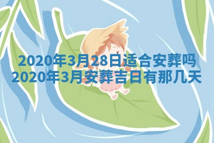陈姓2026年02月20日出生男宝宝的五行取名详解