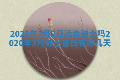 陈姓2026年02月20日出生男宝宝的五行取名详解