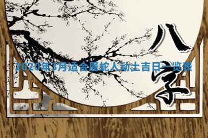 陈姓2026年02月20日出生男宝宝的五行取名详解