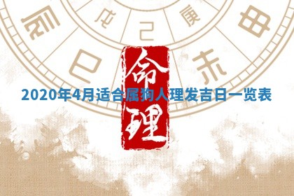 2026年02月25日农历二〇二六年正月初九出生的袁姓男宝宝取名全攻略