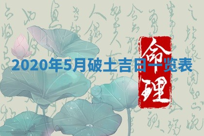 2026年02月25日农历二〇二六年正月初九出生的袁姓男宝宝取名全攻略