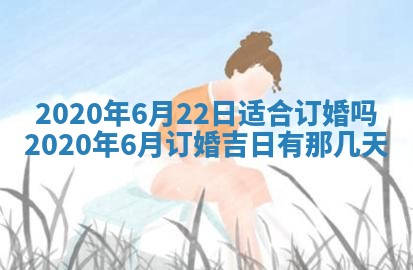 2026年02月25日农历二〇二六年正月初九出生的袁姓男宝宝取名全攻略