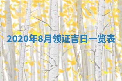 2026年02月25日农历二〇二六年正月初九出生的袁姓男宝宝取名全攻略