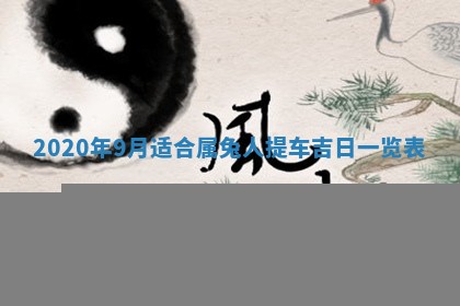 2026年02月25日农历二〇二六年正月初九出生的袁姓男宝宝取名全攻略