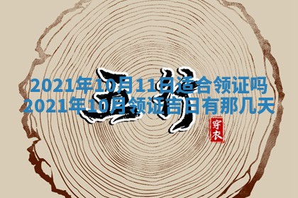 朱姓2026年01月15日出生的男孩子命理分析与起名攻略