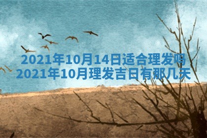 朱姓2026年01月15日出生的男孩子命理分析与起名攻略