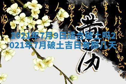 2026年02月25日农历二〇二六年正月初九出生的袁姓男宝宝取名全攻略