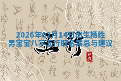 杨姓男孩子取名