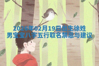 2026年02月19日出生徐姓男宝宝八字五行取名禁忌与建议