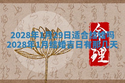 常姓2026年02月03日出生女孩子取名宜用字大全