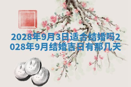 2026.02.26生的杨姓男宝宝取名常见误区与高分名字推荐