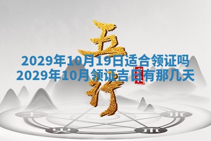 2026年02月24日出生许姓女宝宝八字五行取名禁忌与建议