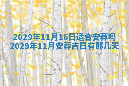 张姓2026年03月10日出生男宝宝的五行取名详解