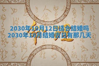 2026年02月25日农历二〇二六年正月初九出生的袁姓男宝宝取名全攻略