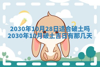 2026年02月25日农历二〇二六年正月初九出生的袁姓男宝宝取名全攻略