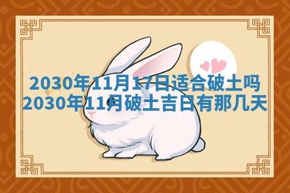 2026年02月25日农历二〇二六年正月初九出生的袁姓男宝宝取名全攻略
