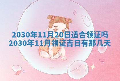 2026年02月25日农历二〇二六年正月初九出生的袁姓男宝宝取名全攻略