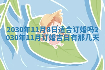 2026年02月25日农历二〇二六年正月初九出生的袁姓男宝宝取名全攻略