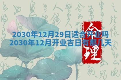 2026年02月25日农历二〇二六年正月初九出生的袁姓男宝宝取名全攻略