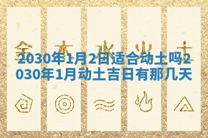 2026年02月25日农历二〇二六年正月初九出生的袁姓男宝宝取名全攻略